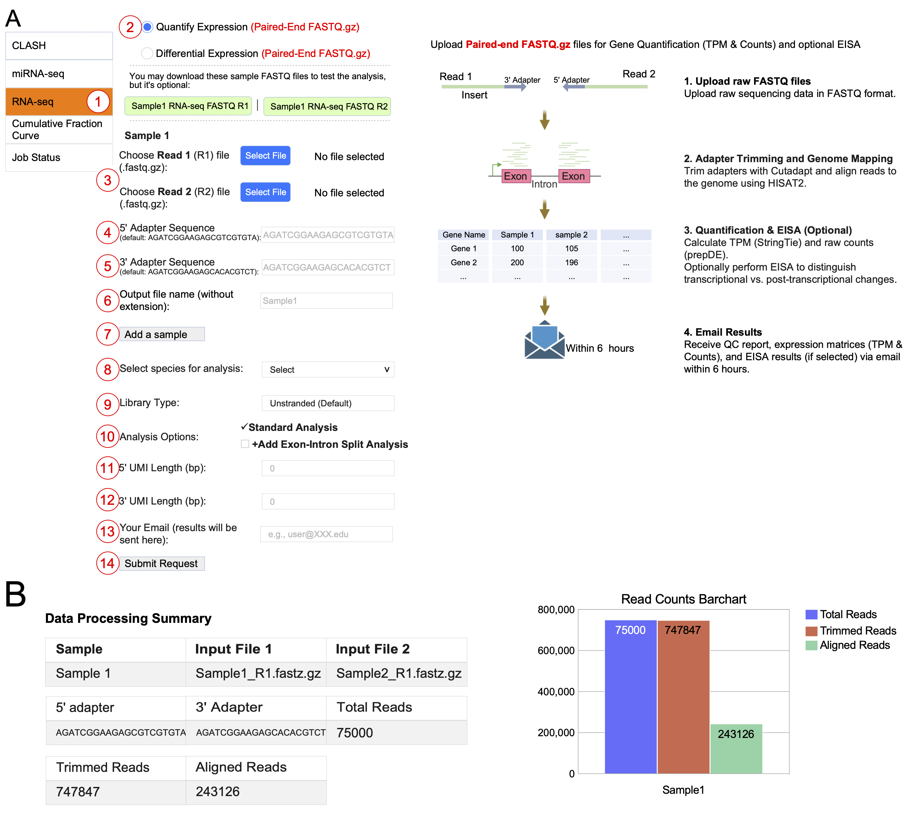 RNA-seq analysis module interface and processing summary