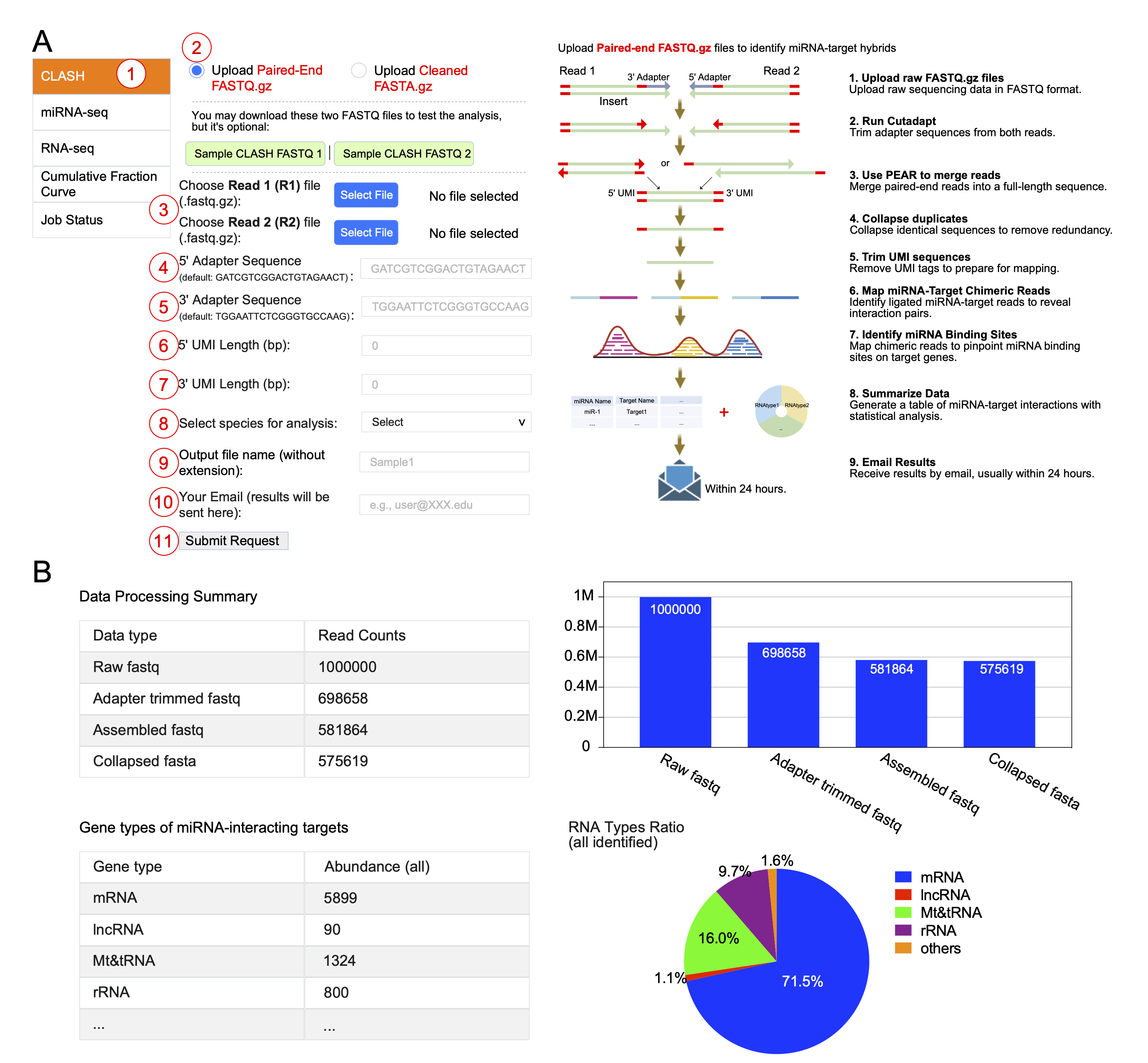 CLASH analysis interface and automated processing pipeline in CLASHub
