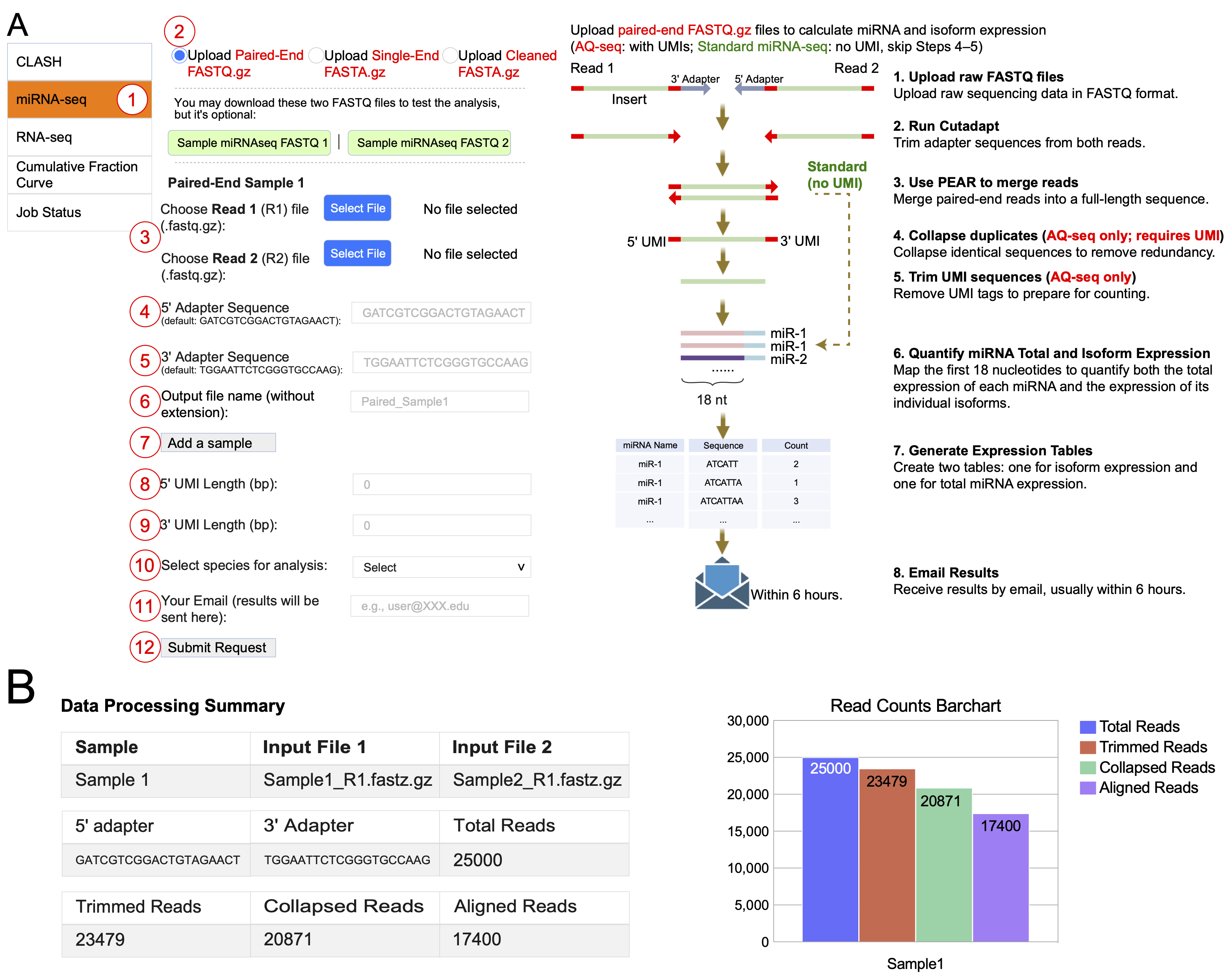 miRNA-seq analysis interface and processing overview
