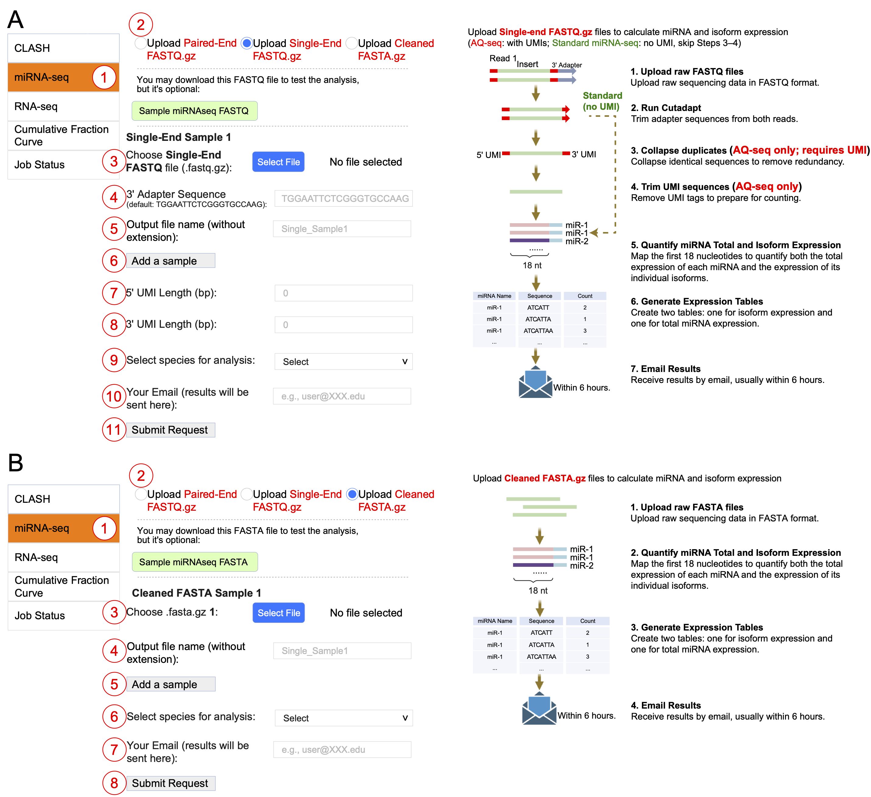 miRNA-seq analysis workflows for single-end FASTQ and cleaned FASTA inputs