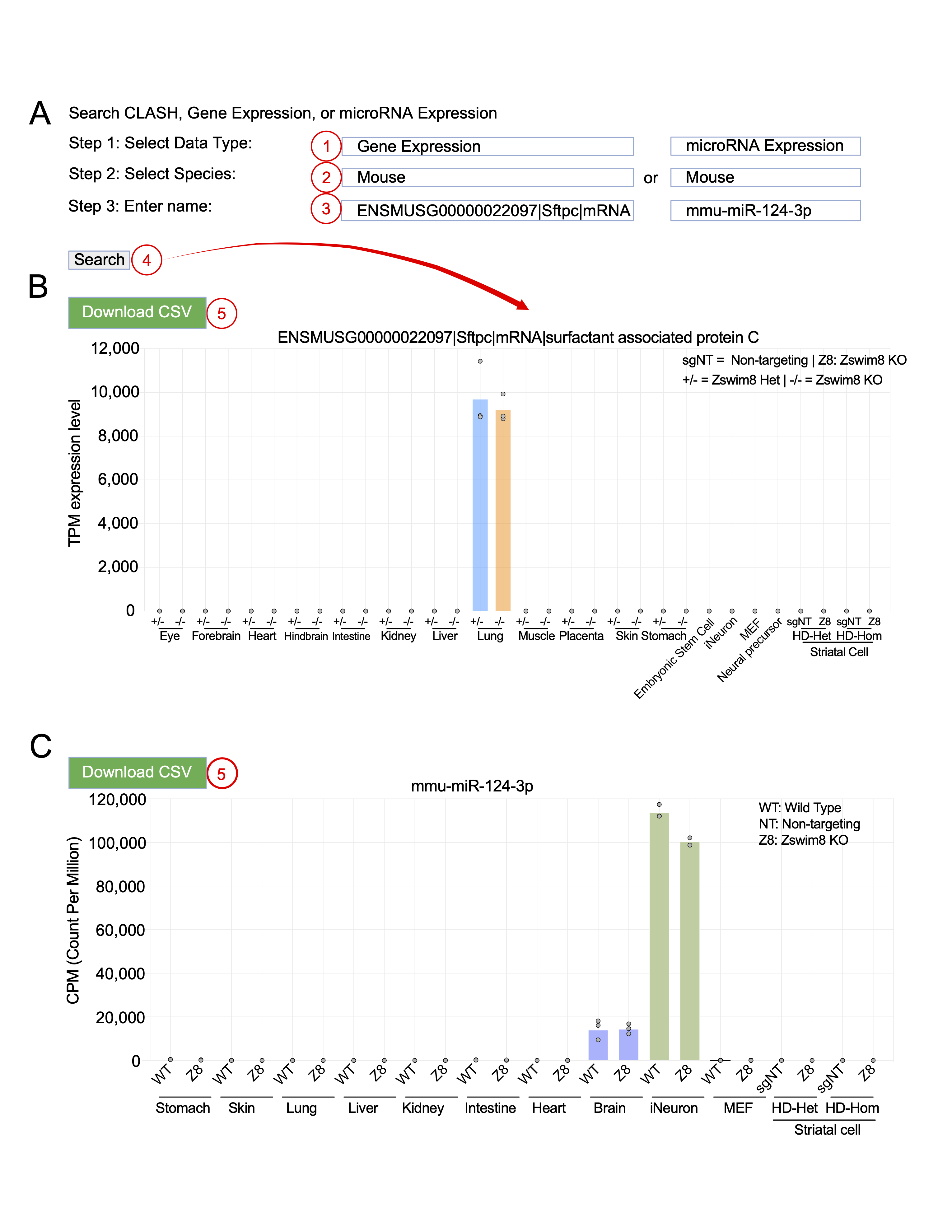 CLASHub gene and miRNA expression database interface and example outputs