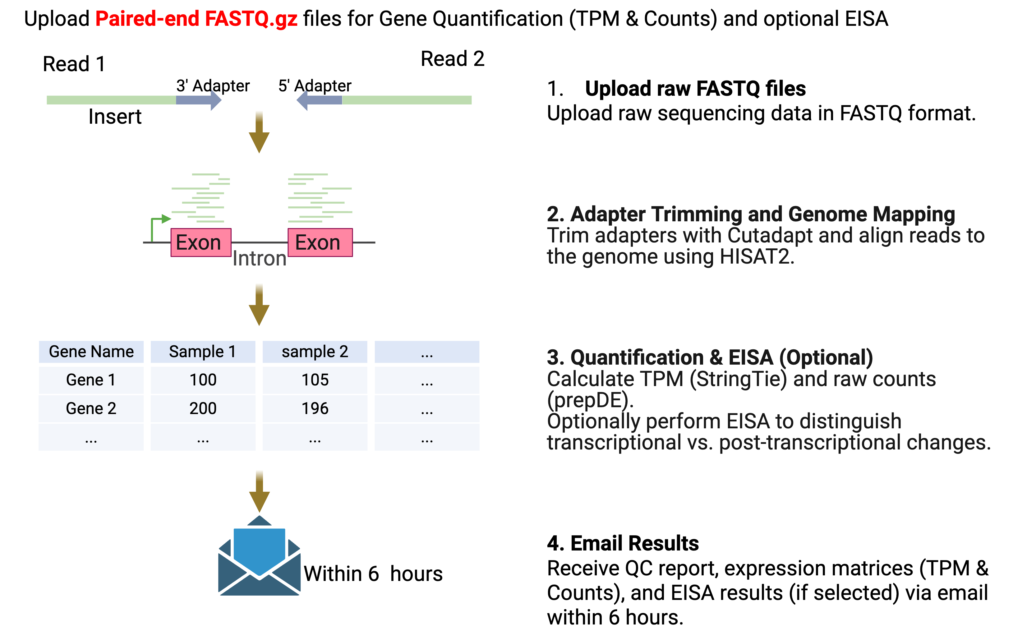 RNA-seq TPM Analysis Pipeline